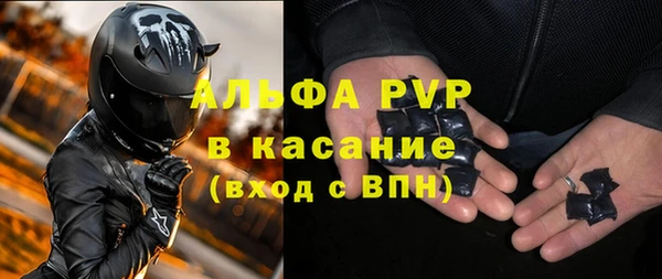 спиды Богородицк