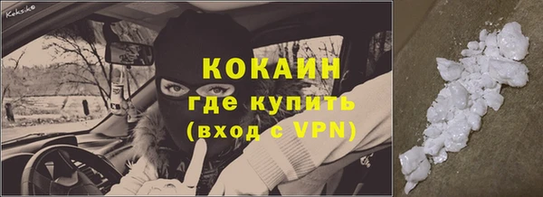 спиды Богородицк