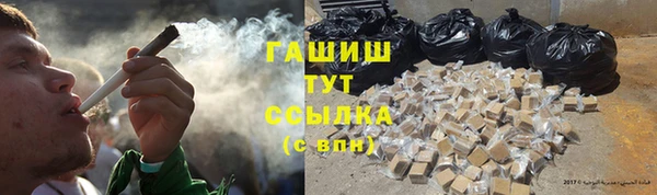 спиды Богородицк