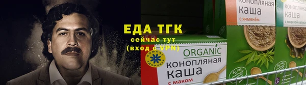спиды Богородицк