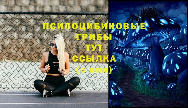 кристаллы Богородск