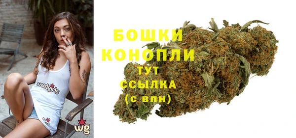 спиды Богородицк