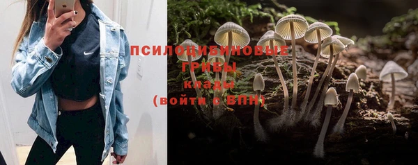кристаллы Богородск