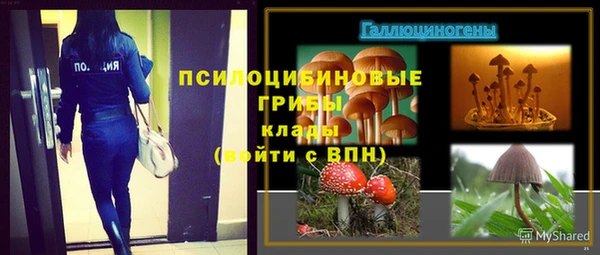 спиды Богородицк