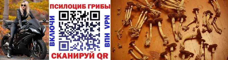 Псилоцибиновые грибы ЛСД  mega ТОР  Чайковский 